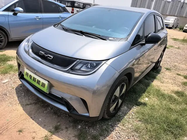 BYD Dolphin 2024 Glory Edition 420km Freedom Edition