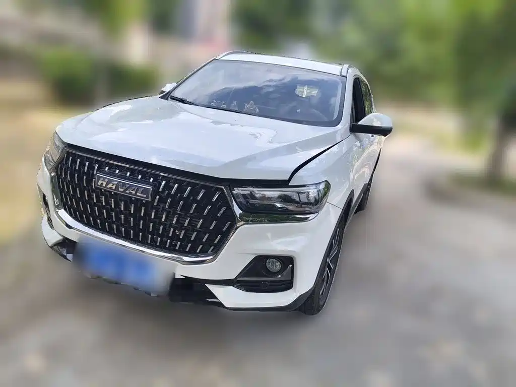 Haval H6 2023 National Trend Edition 1.5T Automatic Urban