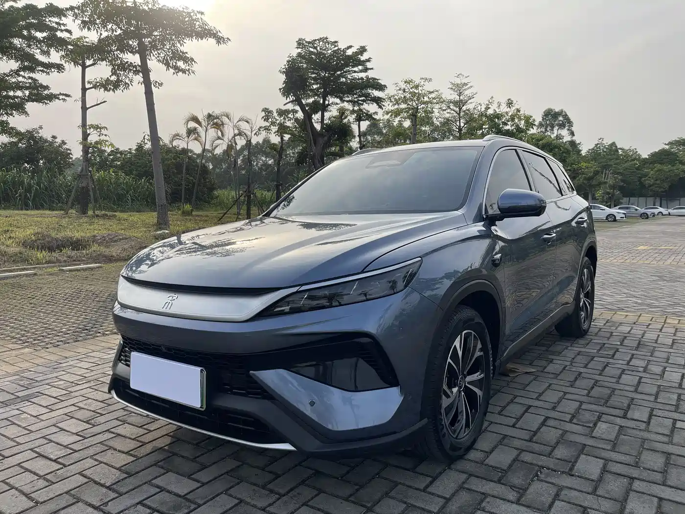 BYD Song Pro New Energy 2025 2nd Generation Smart Drive Edition DM-i 115KM Surpassing Type
