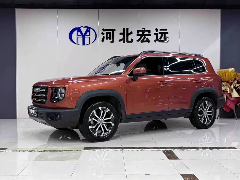 Haval Big Dog 2021 1.5T DCT 2WD Border Collie - Wangcai Edition
