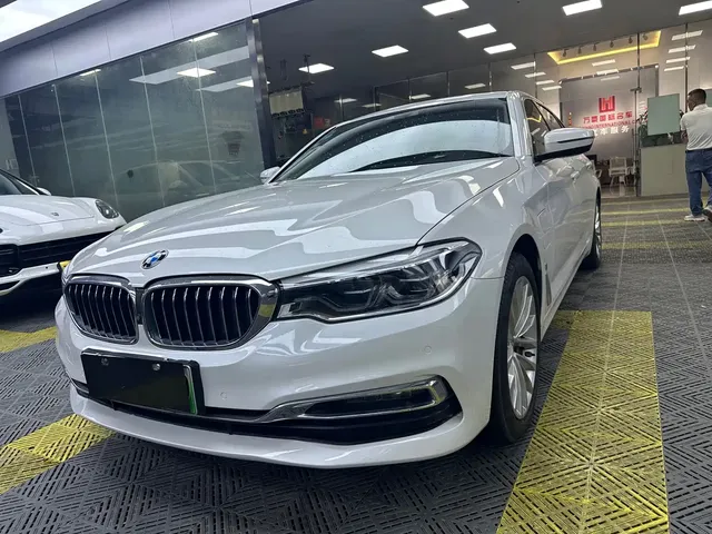 BMW 5 Series New Energy 2019 530Le Luxury Package