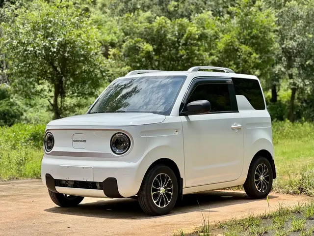 Geely Galaxy Panda 2023 Panda Mini 200km Endurance Bear