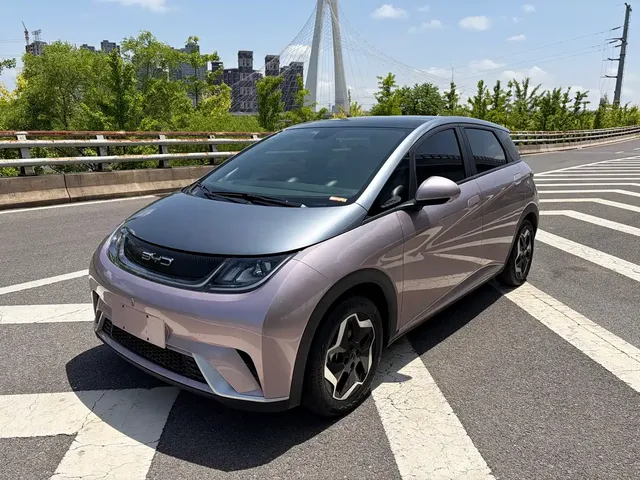 BYD Dolphin 2021 Model 405km Fashion Edition