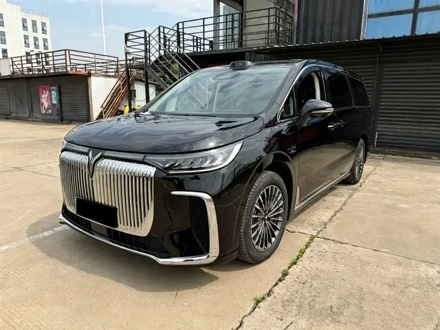 Voyah Auto Voyah Dreamer 2025 Model PHEV Basic Version