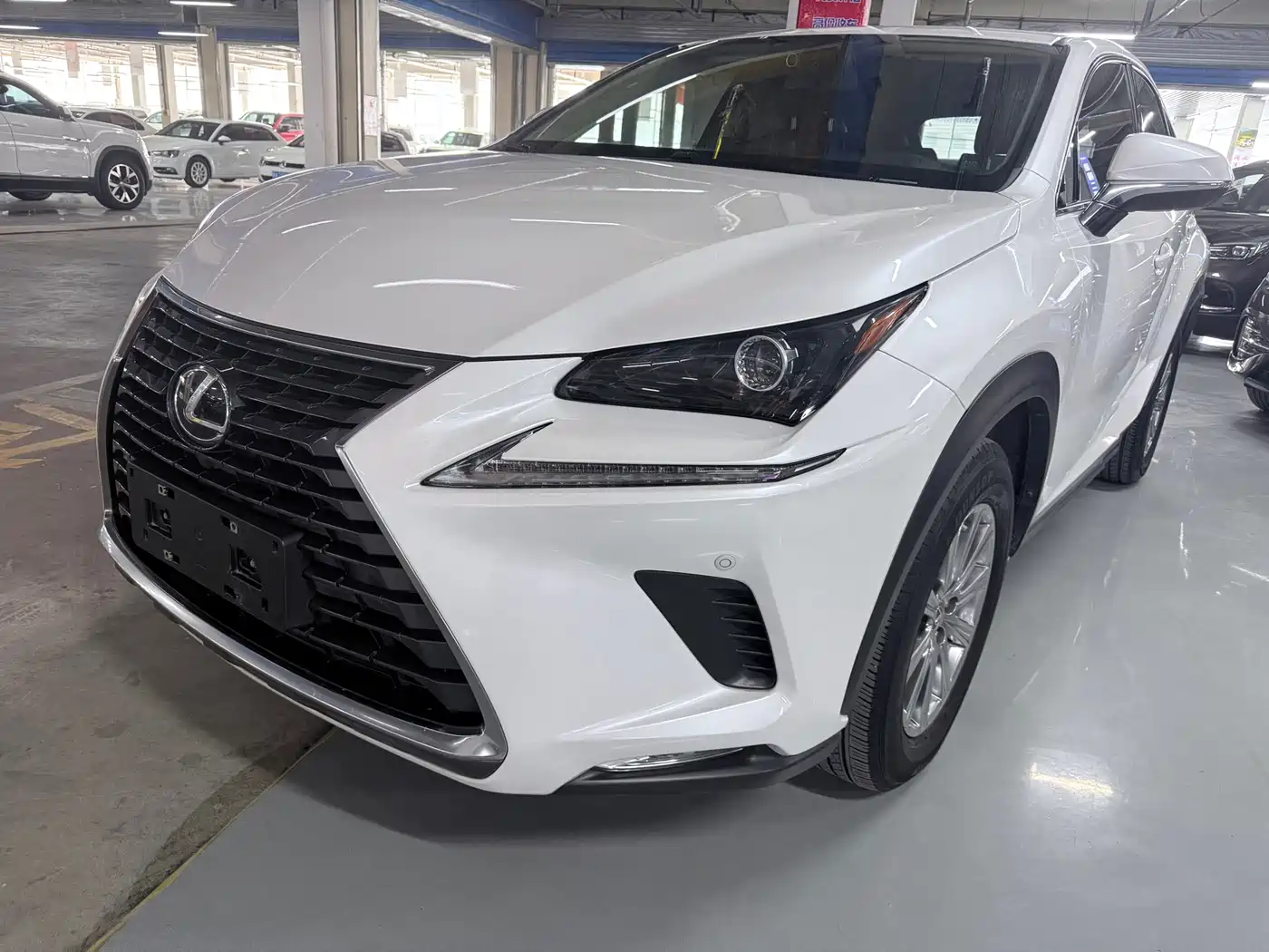 Lexus NX 2020 200 AWD F Sport China V