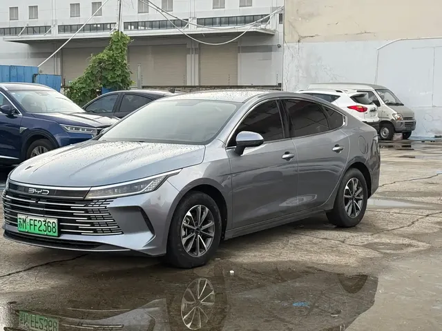 BYD Destroyer 05 2024 Glory Edition DM-i 55KM Luxury