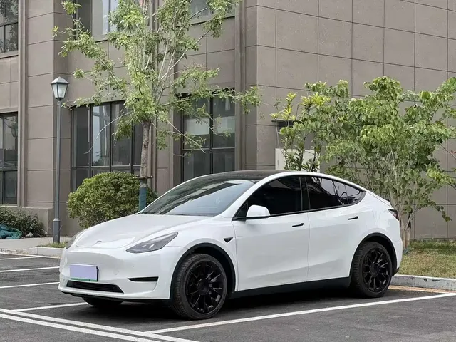 Tesla Model Y 2024 Rear-Wheel Drive Version