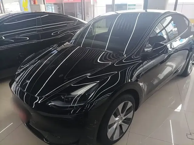Tesla Model Y 2022 Rear-Wheel Drive Version