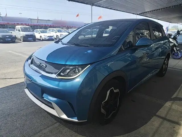 BYD Dolphin 2021 Model 405km Fashion Edition