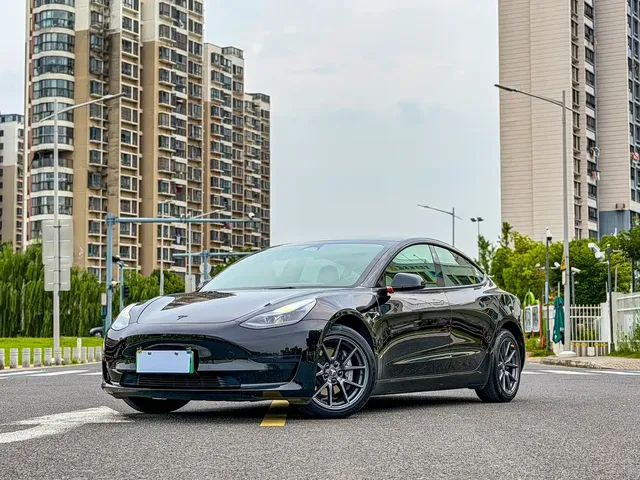 Tesla Model 3 2022 Model Rear-Wheel Drive Version