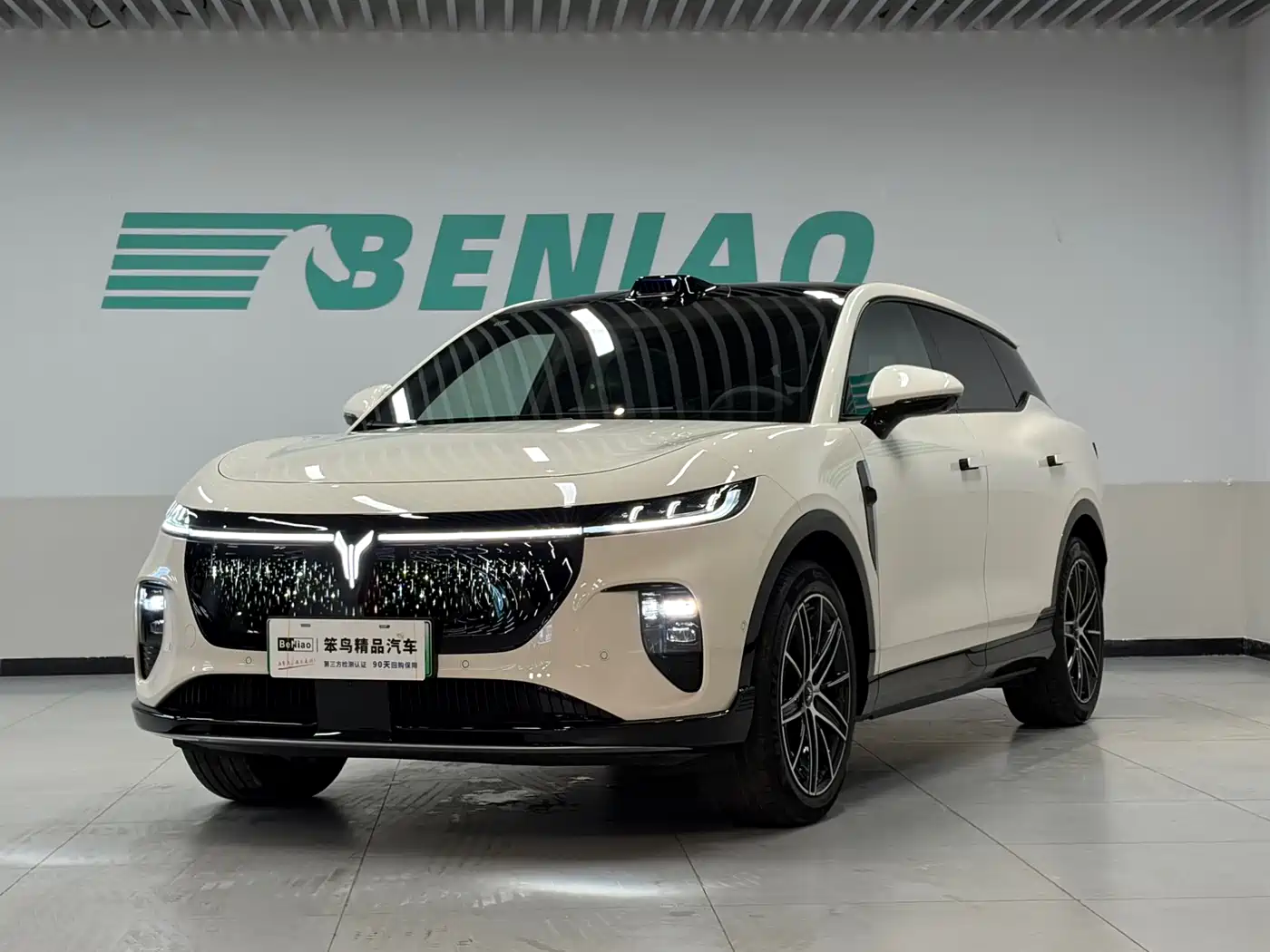 Voyah Auto Voyah Zhiyin 2025 Base