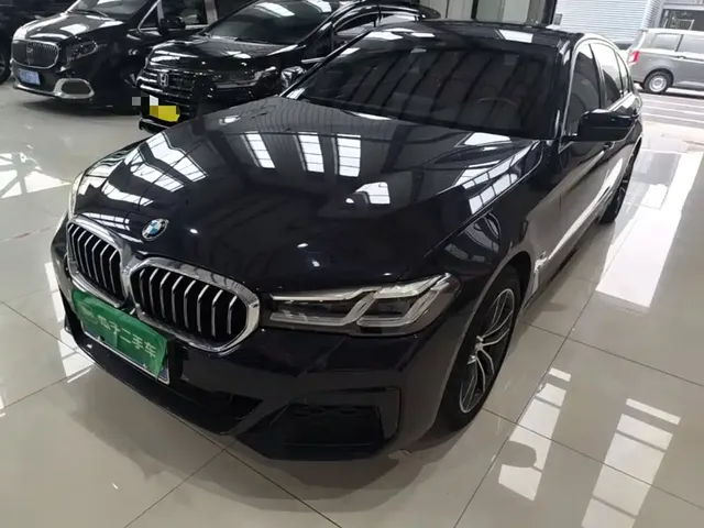 BMW 5 Series 2021 530Li Leading Luxury Package