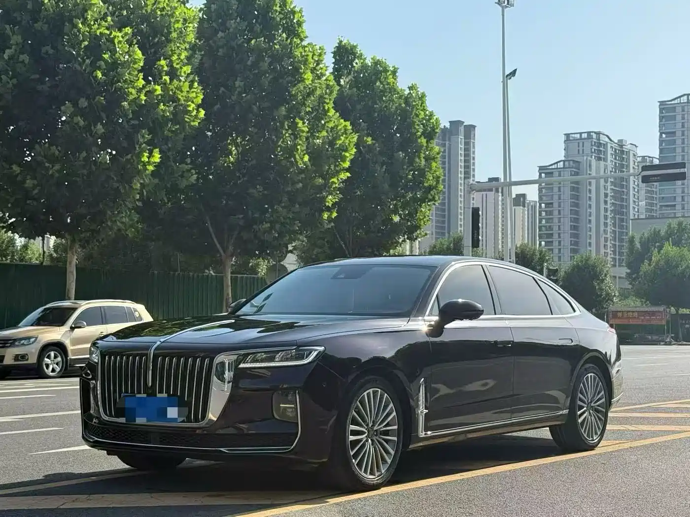 Hongqi H9 2020 2.0T Smart Connection Qi Chang Edition