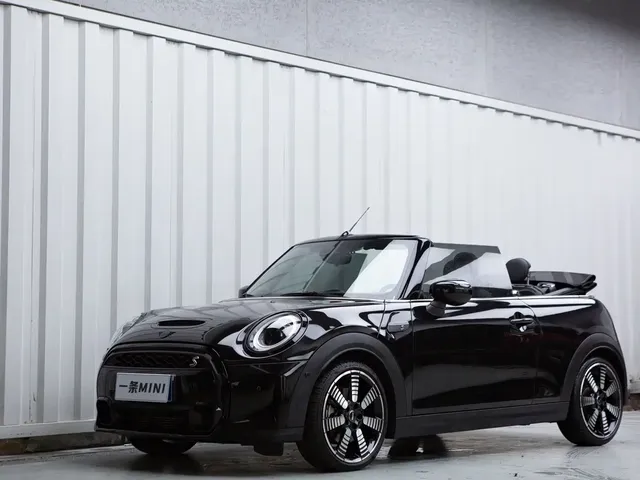 MINI MINI 2023 2.0T COOPER S CABRIO Artist