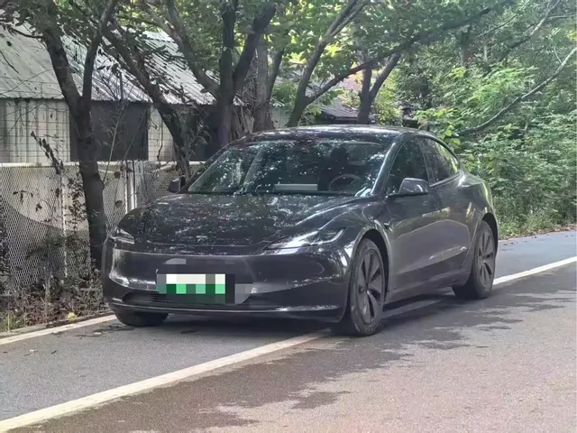 Tesla Model 3 2025 Model Rear-Wheel Drive Edition