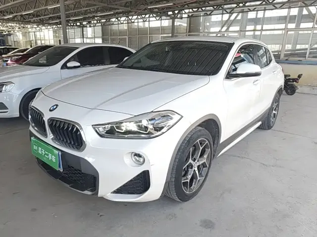 BMW X2 (Import) 2019 sDrive20i M Off-Road Package China VI