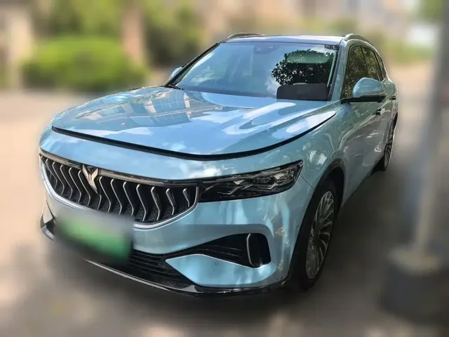 Voyah Auto VOYAH FREE 2021 4WD Pure Electric Launch Edition Exclusive Luxury Package