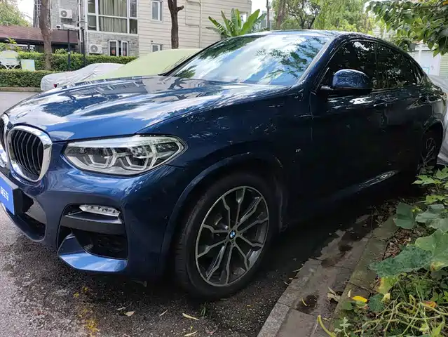 BMW X4 2019 xDrive30i M Sport Package