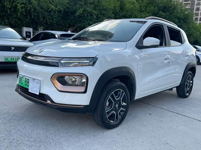 Dongfeng Yipai Dongfeng Nano EX1 2022 PRO Tiger Edition Luxury