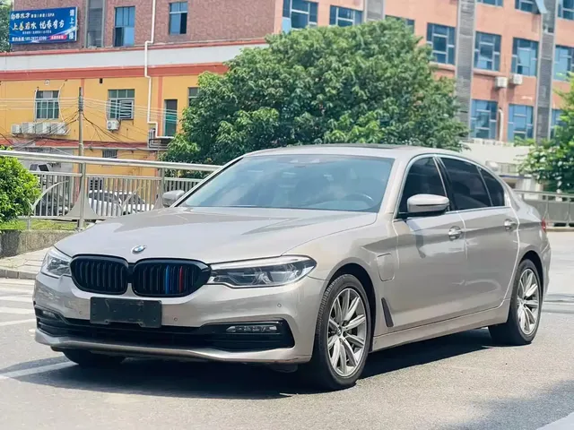 BMW 5 Series New Energy 2019 530Le Luxury Package