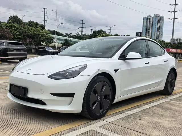 Tesla Model 3 2021 Facelift Standard Range RWD Upgrade 3D1
