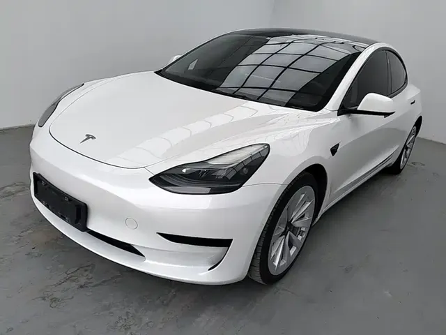 Tesla Model 3 2022 Model Rear-Wheel Drive Version