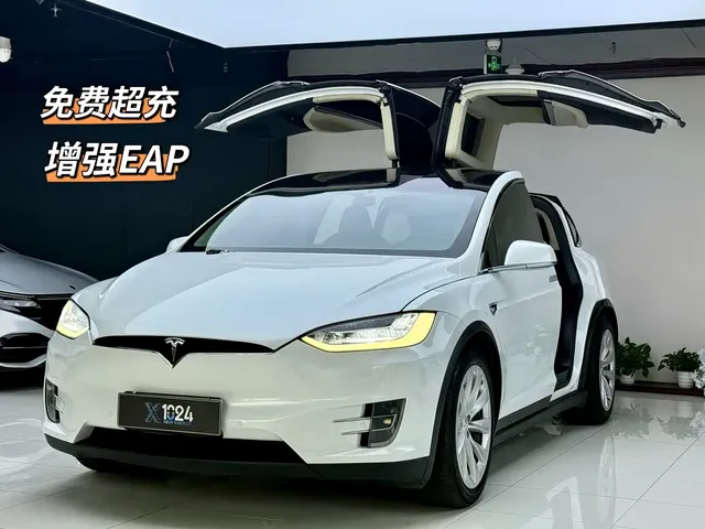 Tesla Model X 2017 Model X 100D Long Range