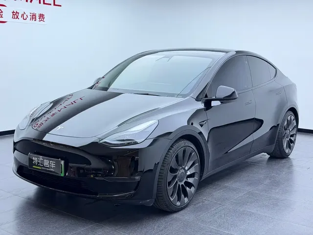 Tesla Model Y 2022 Performance High-Performance All-Wheel Drive Version