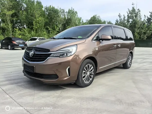 Buick GL8 2020 Model Land Business Class 652T Luxury