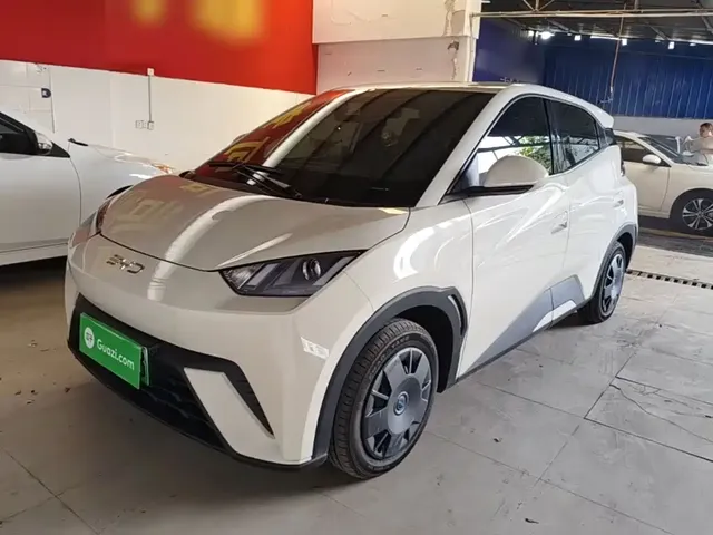 BYD Seagull 2025 305km Vitality