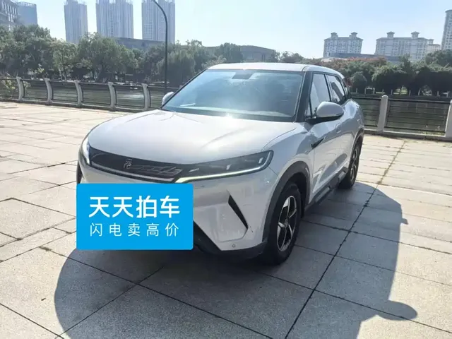 BYD Yuan UP 2024 301KM Leading Edition