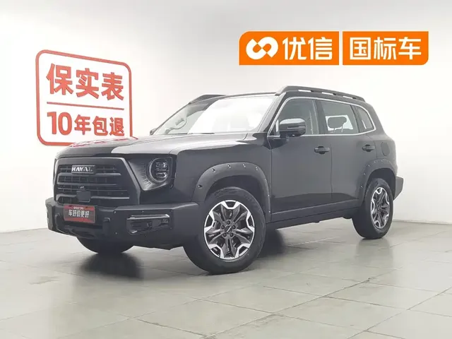 Haval Big Dog 2024 2.0T DCT Chinese Rural Dog Edition