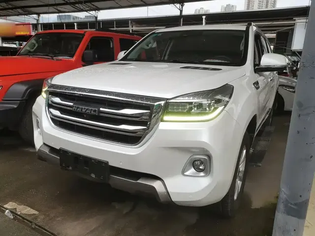 Haval H9 2020 2.0T Gasoline 4WD Premium 5-Seater