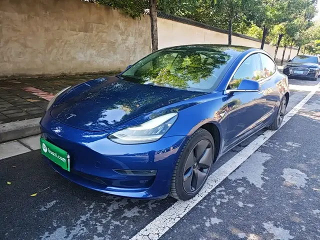 Tesla Model 3 (Import) 2019 Long Range RWD Version