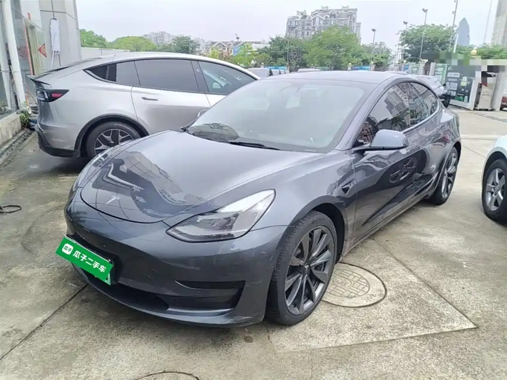 Tesla Model 3 2021 Standard Range Rear-Wheel Drive Upgrade 3D6