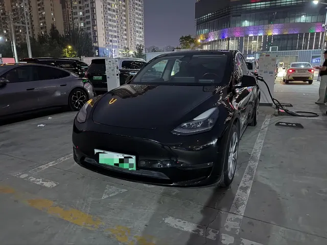 Tesla Model Y 2021 Standard Range Rear-Wheel Drive