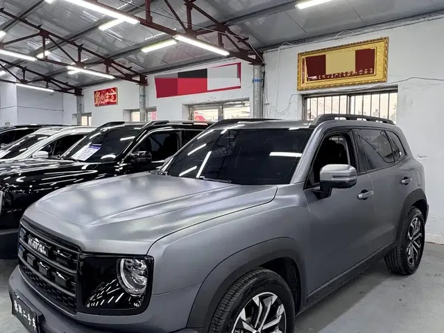 Haval Big Dog 2024 1.5T DCT Border Collie Edition