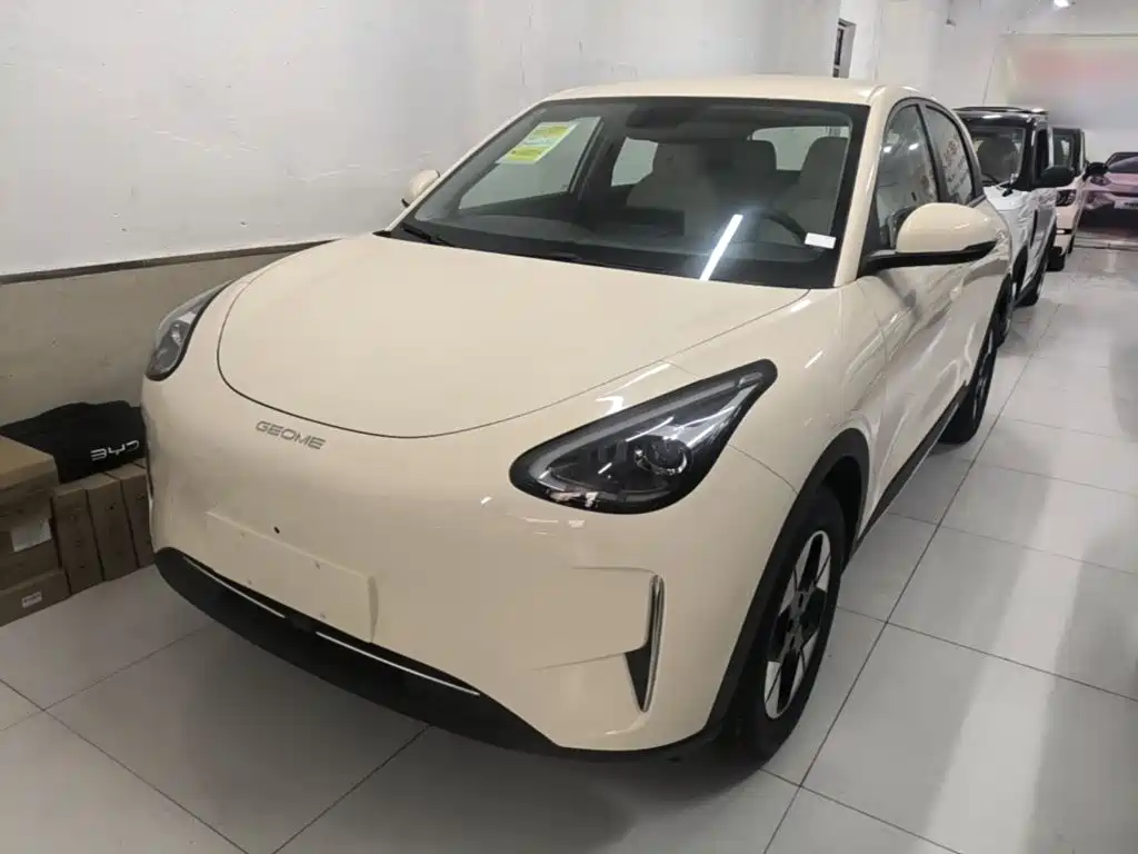 Geely Galaxy Starry Wish 2026 Model 310km Dream Edition
