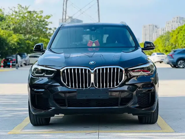 BMW X5 (Import) 2022 xDrive30i M Sport Package