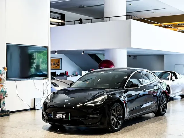 Tesla Model 3 2020 Facelift Long Range Rear-Wheel Drive