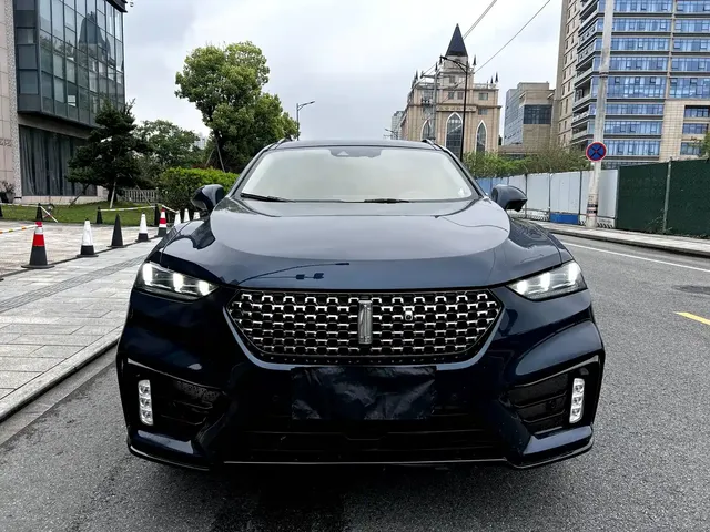 WEY VV7 2021 Model 2.0T Technology Edition