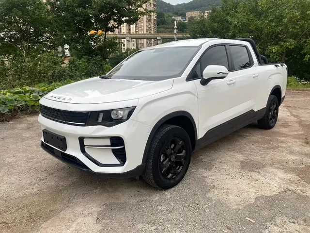 Geely Radar King Kong 2025 460km 4WD Long Cargo Power Guardian