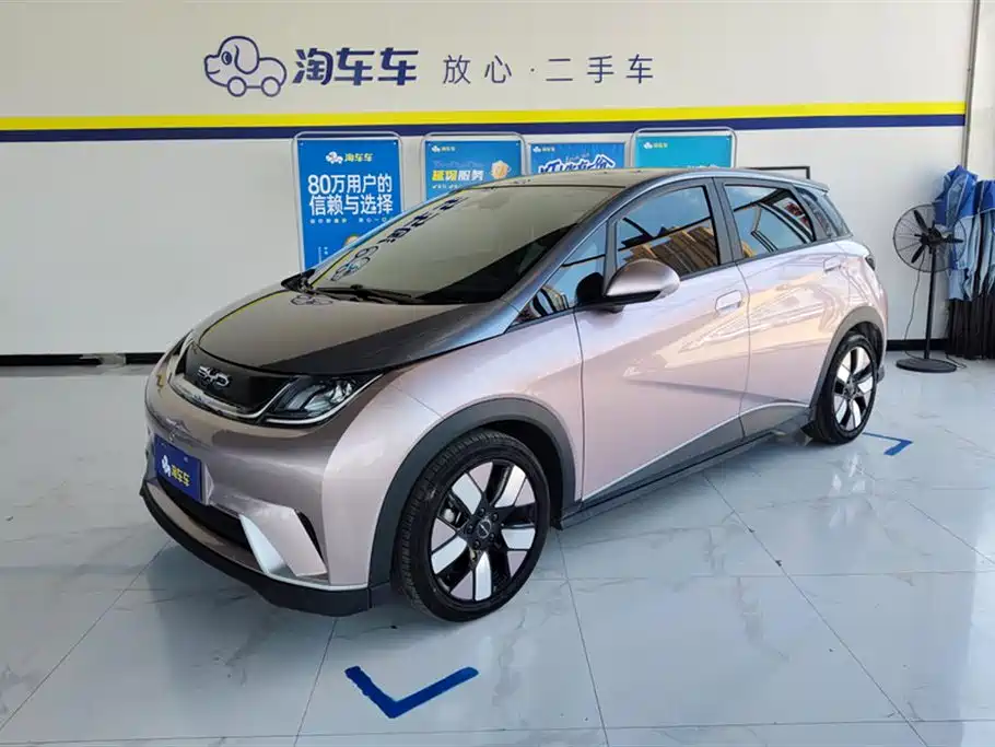 BYD Dolphin 2021 401km Knight Edition