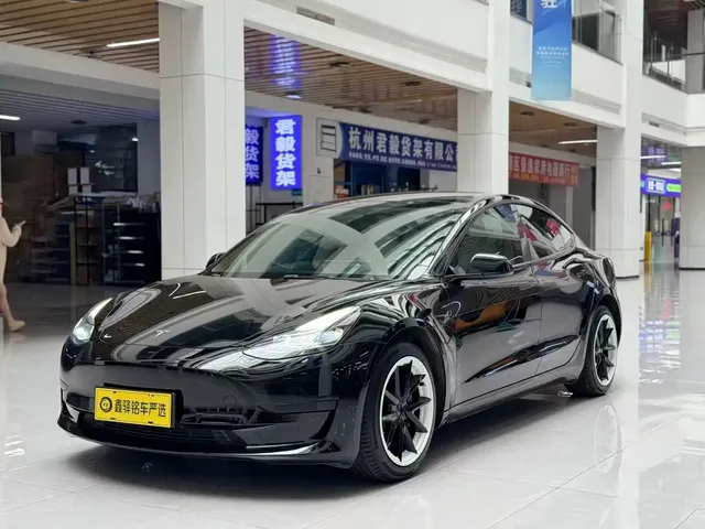 Tesla Model 3 2022 Model Rear-Wheel Drive Version