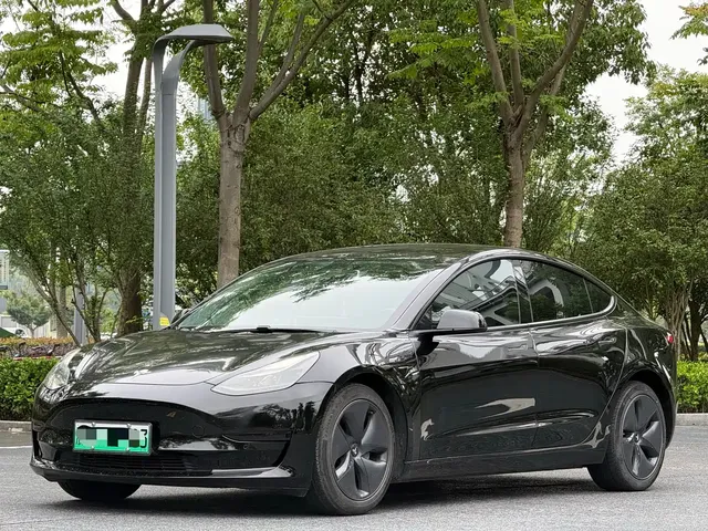 Tesla Model 3 2022 Model Rear-Wheel Drive Version