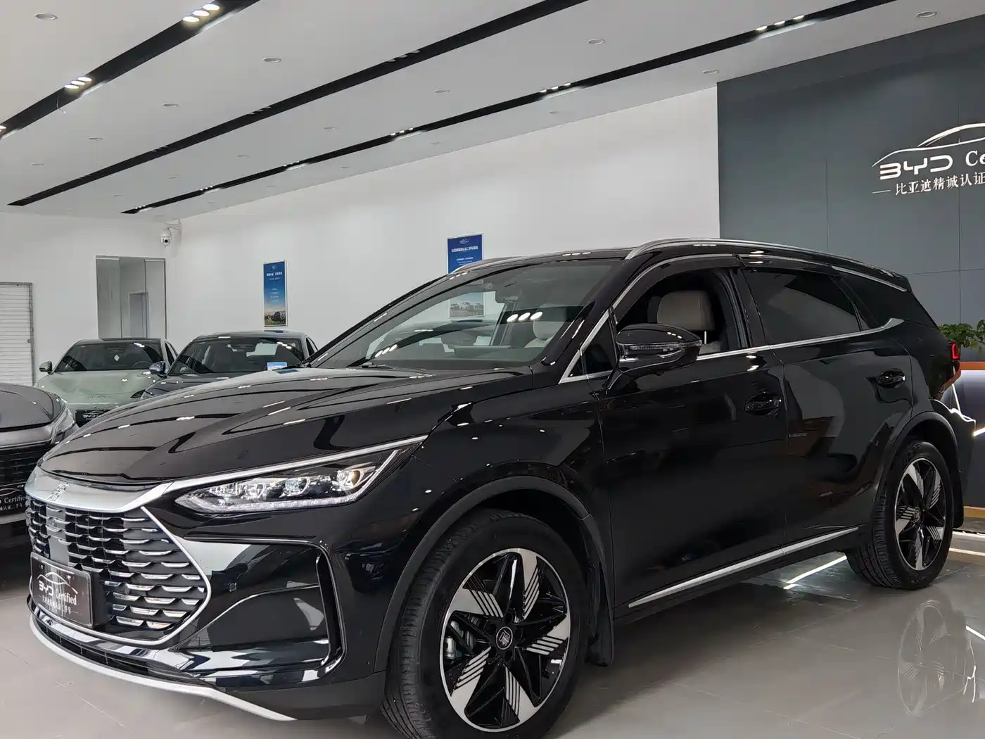 BYD Tang New Energy 2025 DM-i 115KM Prestige Type