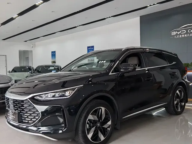 BYD Tang New Energy 2025 DM-i 115KM Prestige Type