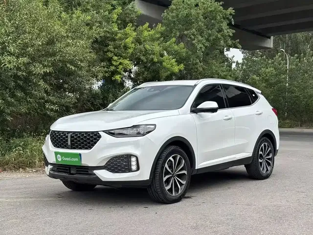 WEY VV6 2020 2.0T 2WD Smart Enjoy+
