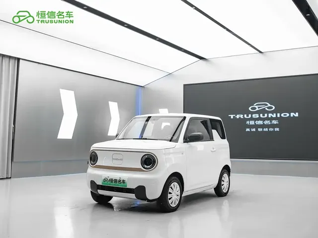 Geely Galaxy Panda 2024 Panda mini 200km Endurance Bear