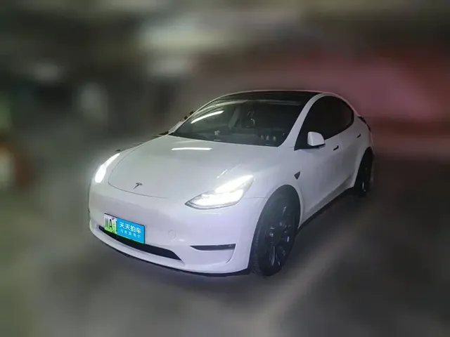 Tesla Model Y 2024 Performance